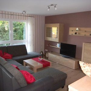 Ferienwohnung Bernkastel-Kues - Alte Rebschule